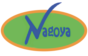Nagoya Plastic Industry